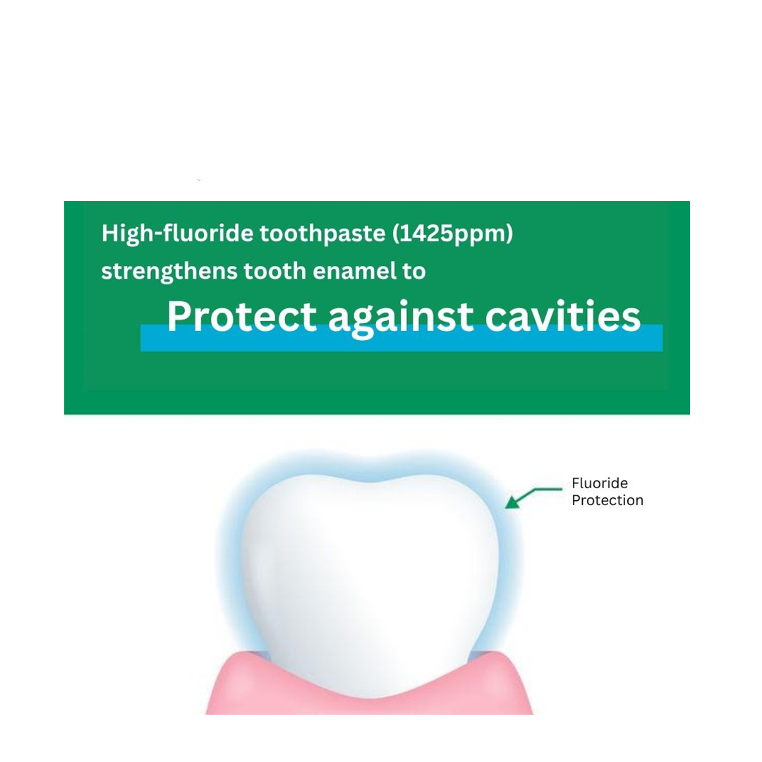 SUNSTAR GUM Dental Paste Lb - Herb Mint/Refresh Mint (120g)