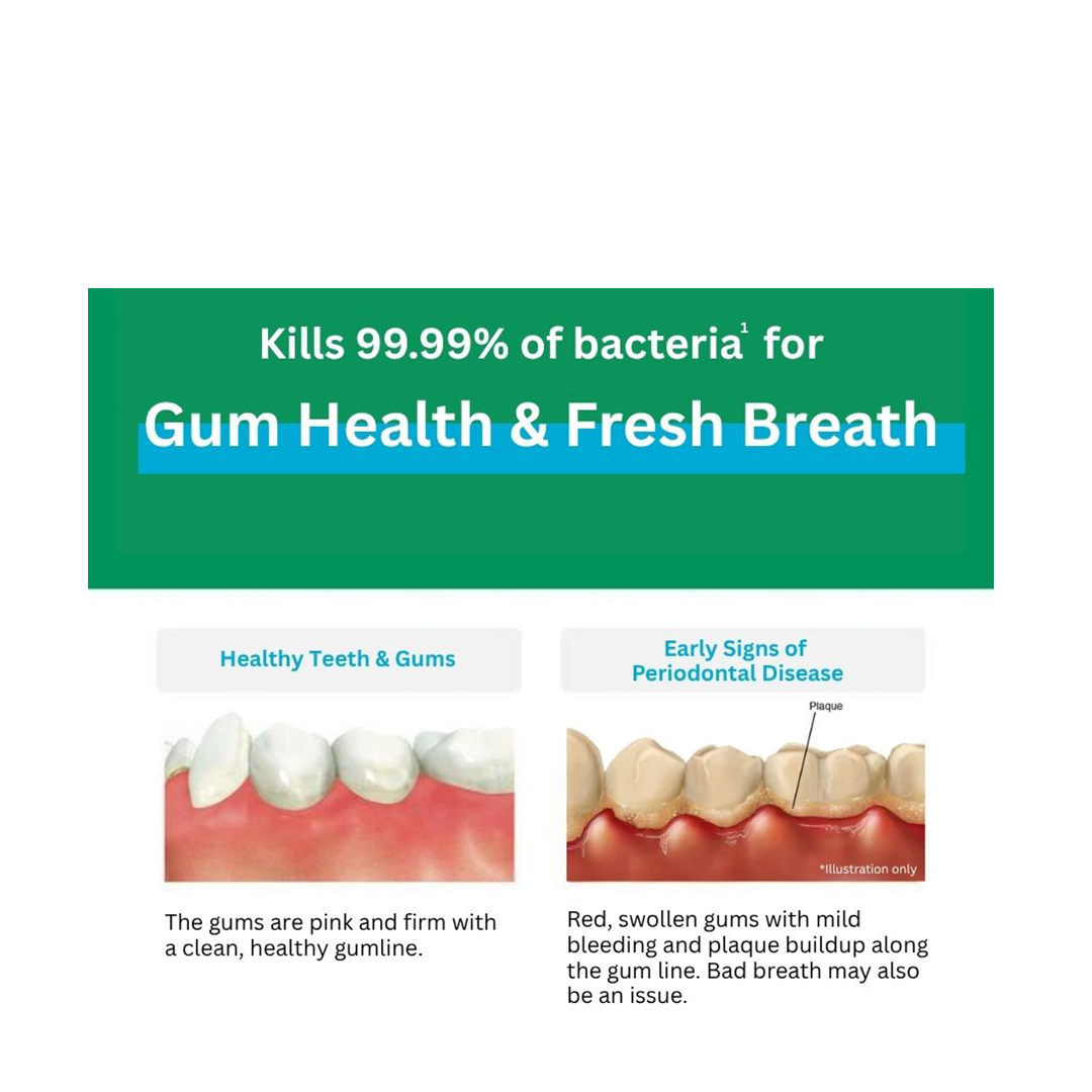 SUNSTAR GUM Dental Paste Lb - Herb Mint/Refresh Mint (120g)